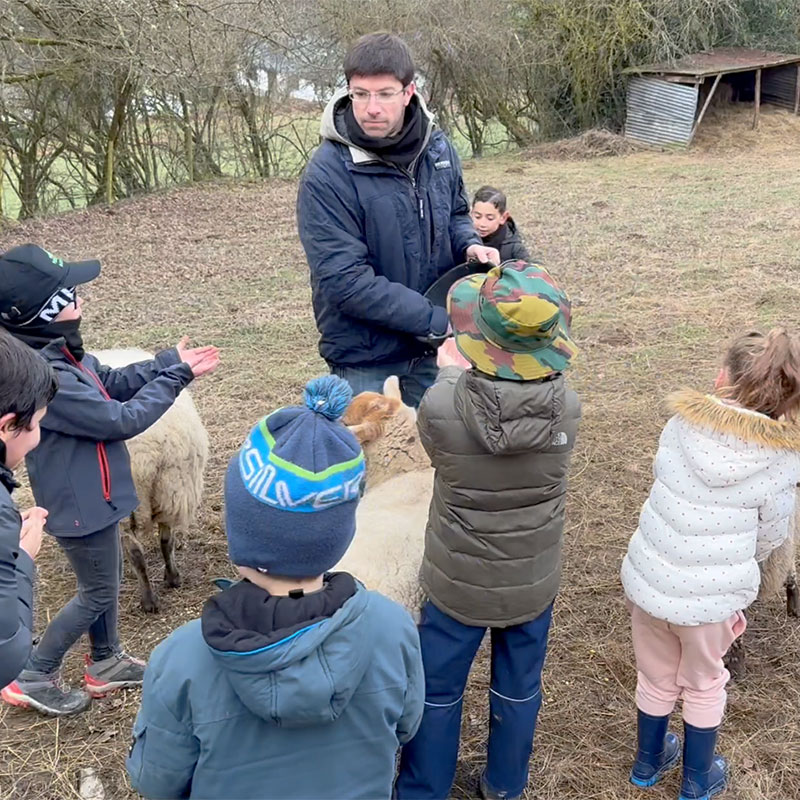 Excursion à la ferme avec l'école fondamentale Duc de Marlborough
